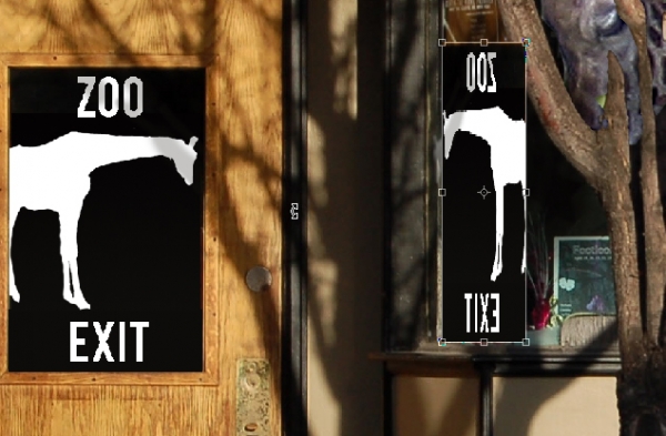 Creation of The Zoo!: Step 3